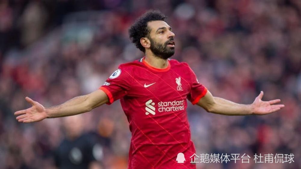讲述同一世界观全新故事2025-10-21 马律师回归！