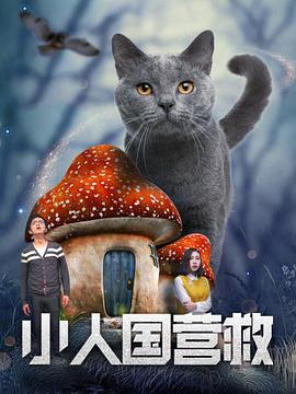 最近国语在线观看
