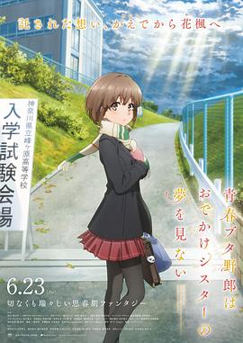 BD国语高清完整版