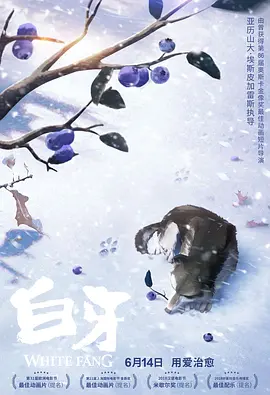 字幕全集免费观看