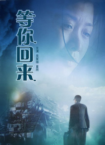 1080P手机在线看