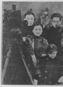 全集免费观看超清